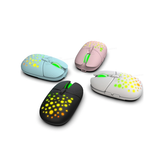 FASHION MOUSE R8 1717